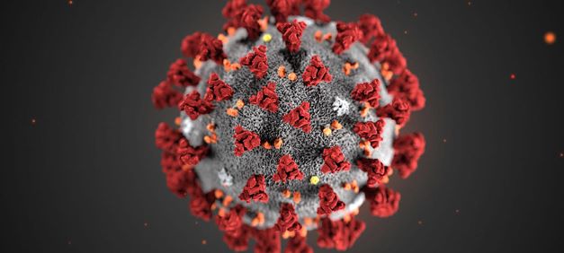 coronavirus_.jpg